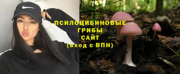 гашик Елизово