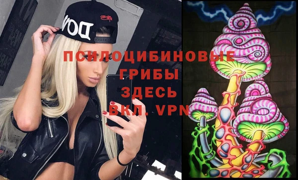 стафф Дмитров