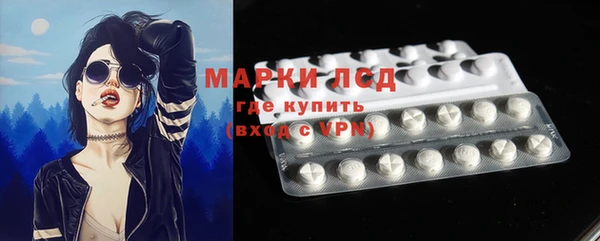 спайс Ладушкин