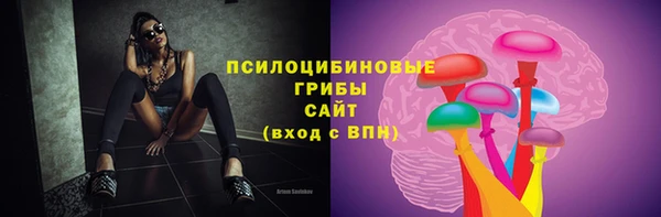 стафф Дмитров