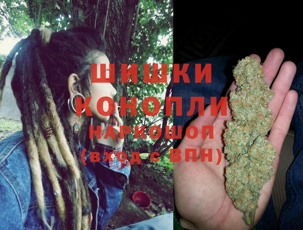 стафф Дмитров