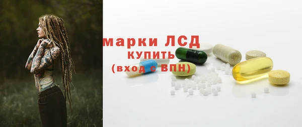 гашик Елизово