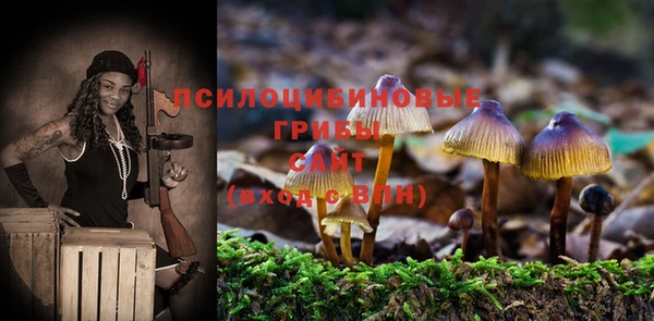 амф Уссурийск