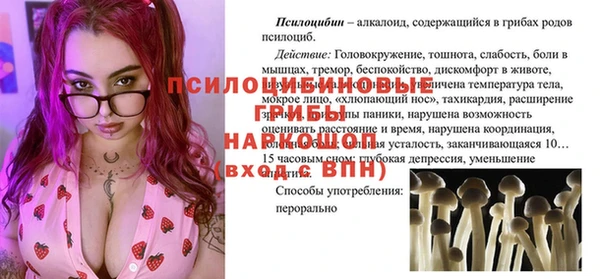экстази Ельня