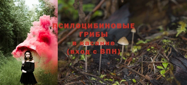 экстази Ельня