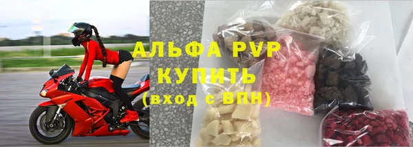 стафф Дмитров