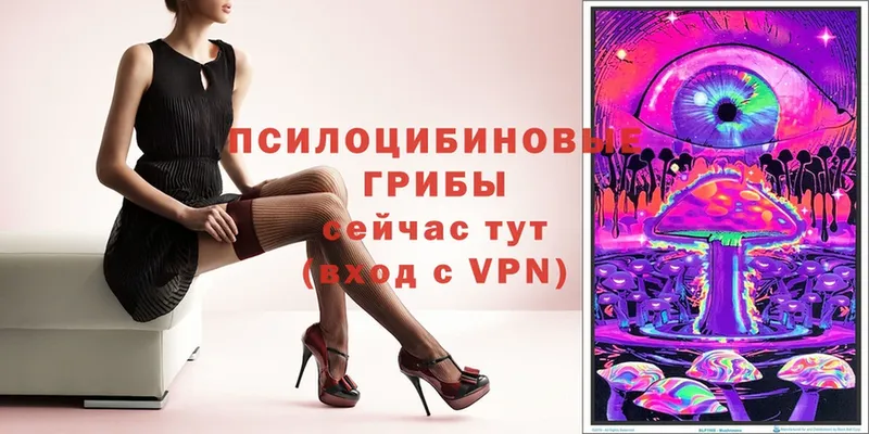 Псилоцибиновые грибы прущие грибы  Рузаевка 