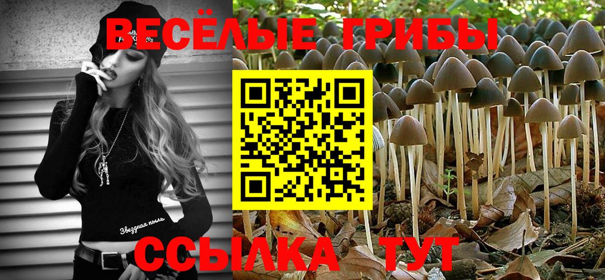 Псилоцибиновые грибы мухоморы  Галлюциногенные грибы MAGIC MUSHROOMS  Вход с VPN  Рузаевка 