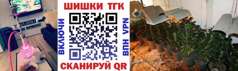 где продают наркотики  мега ONION  МАРИХУАНА SATIVA & INDICA  Рузаевка 